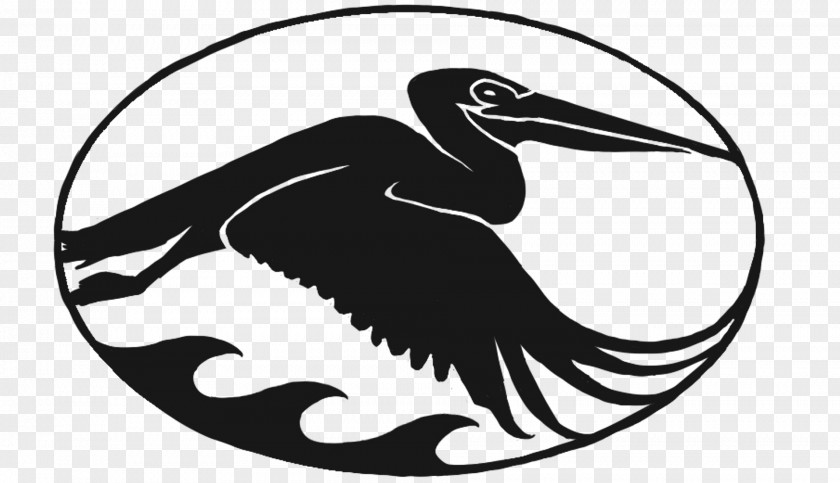 Health Insurance Agent Bird Beak PNG
