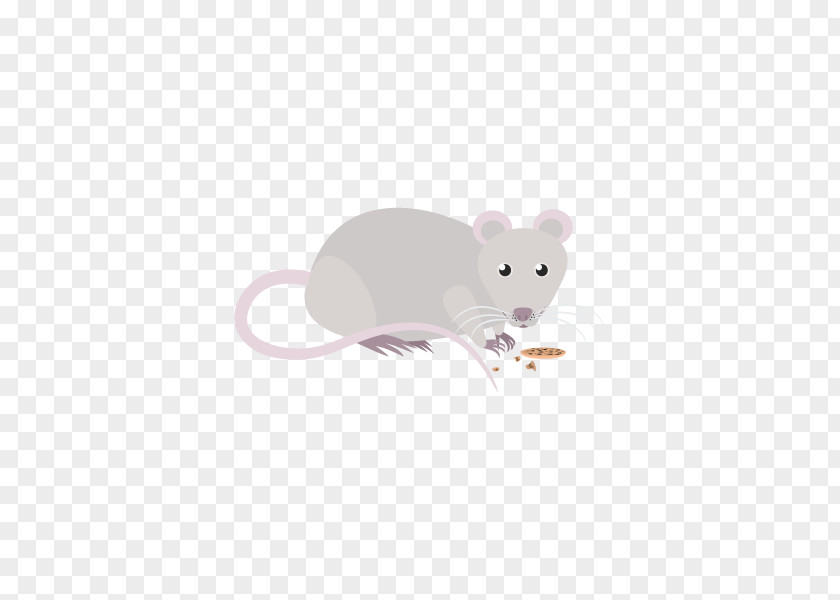 Rat & Mouse Rodent Murids Mammal PNG