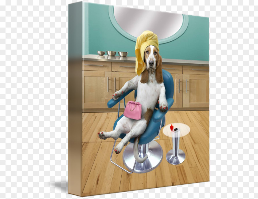Basset Hound Beauty Parlour Photography Animal PNG