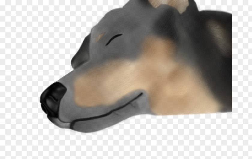 Dog Jaw Snout PNG