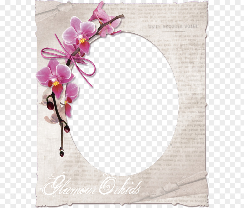 Peach Frame Flower Watercolor Painting Clip Art PNG