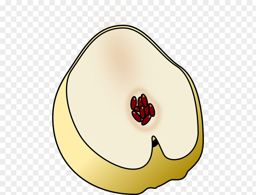 Quince Fruit Clip Art PNG