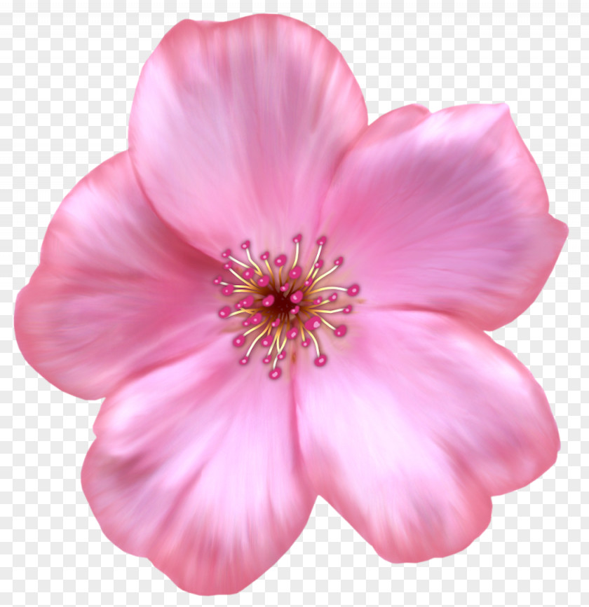 Raspberry Flower Petal Scrapbooking Clip Art PNG