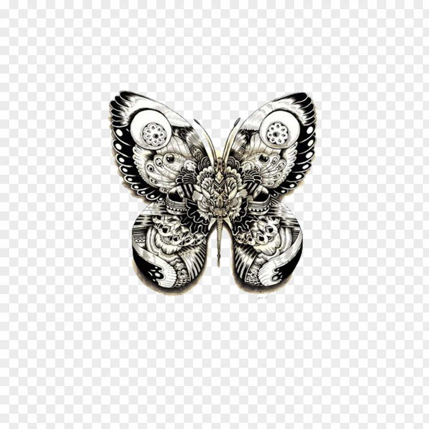 Butterfly United Kingdom Illustrator Animal Drawing Illustration PNG