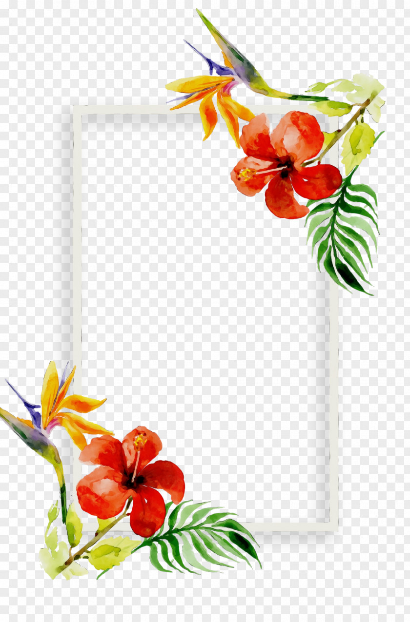 Picture Frame Plant PNG