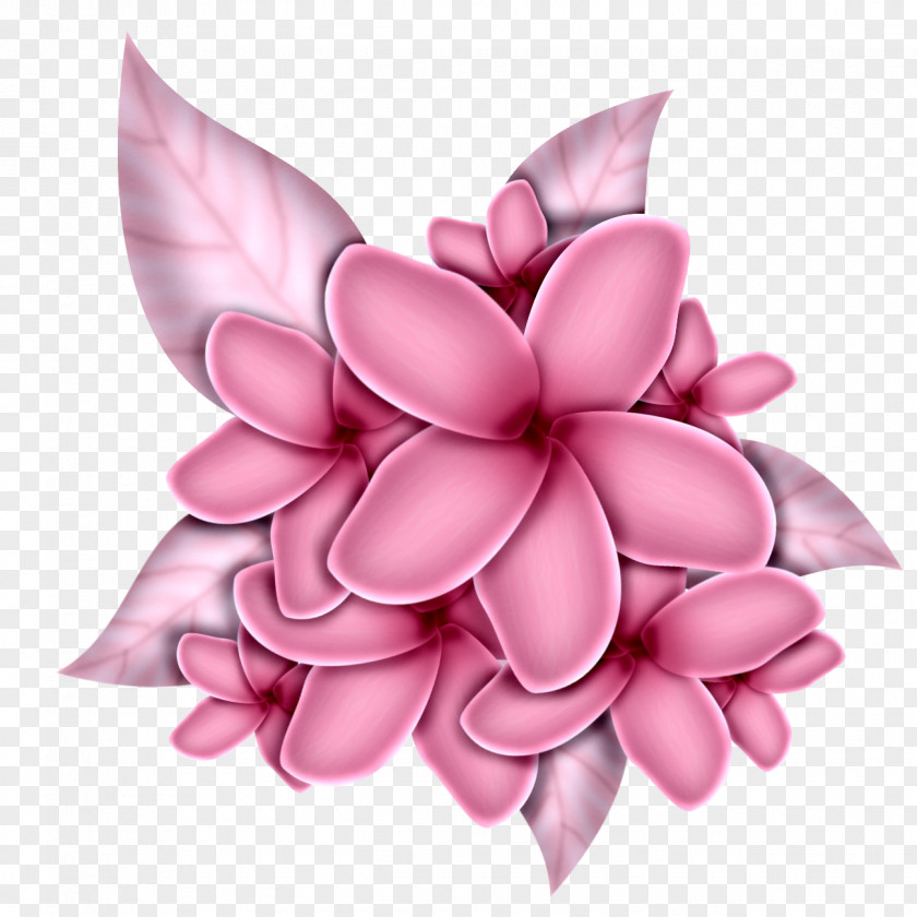 Pink Flowers .de .by Drawing .me PNG