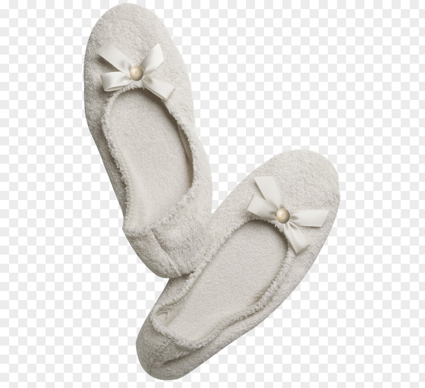 Slippers Slipper El Color De Mi Entorno Flip-flops Shoe PNG