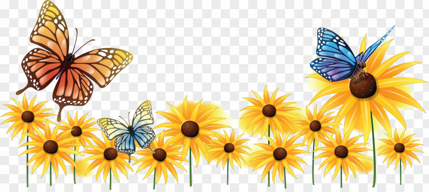 Butterfly Common Sunflower Insect Pollinator Clip Art PNG