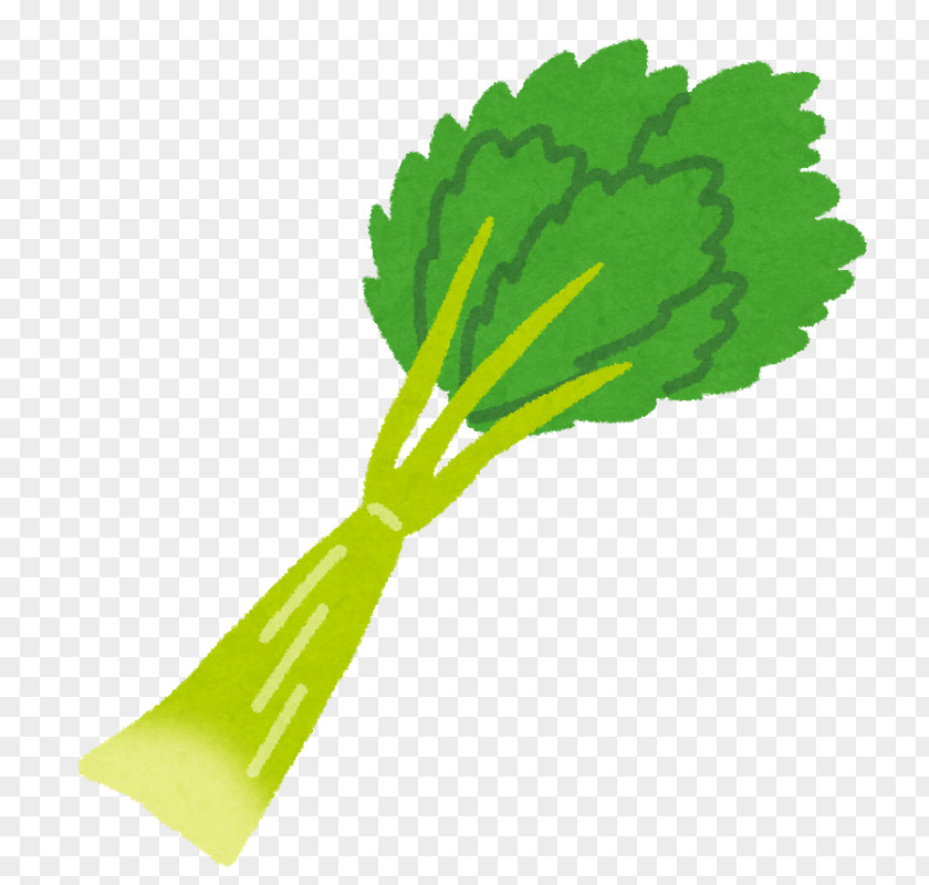 Celery Food Vegetable Dietary Fiber Beta-Carotene PNG