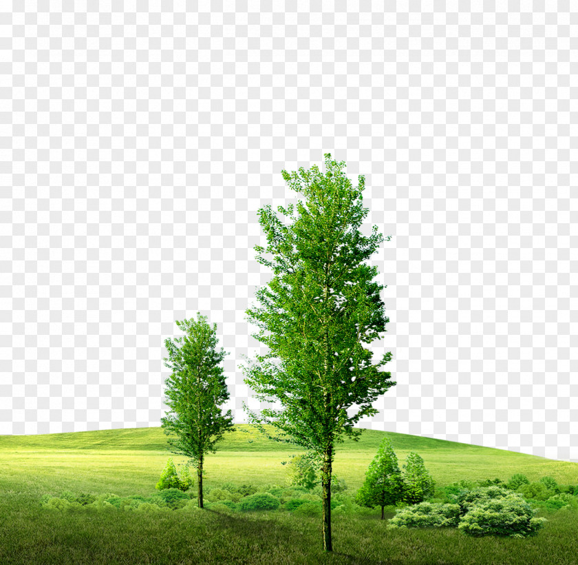 Green Background Material Download Icon PNG