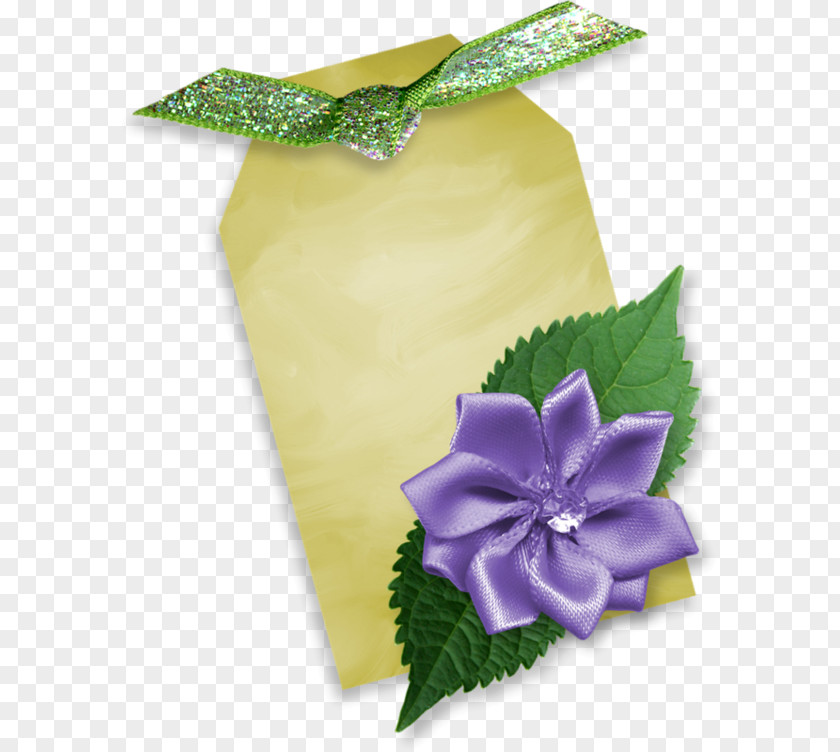 Shabbat Candles Petal Cut Flowers PNG