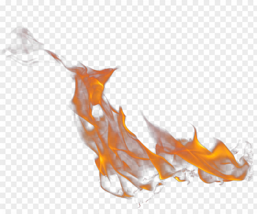 Vilakku Fire Desktop Wallpaper PhotoScape Clip Art PNG