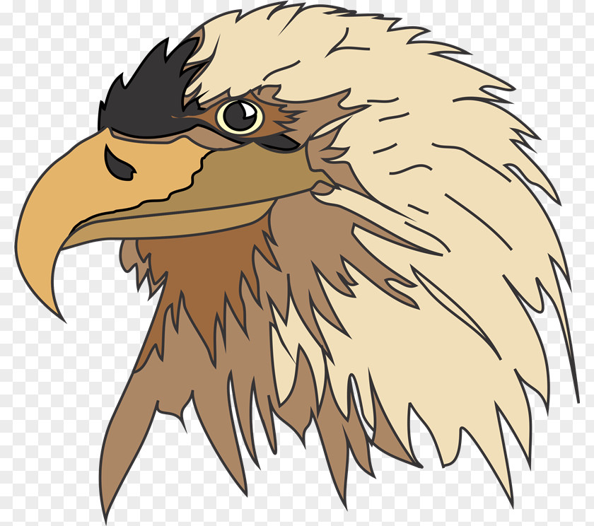 Aves Bald Eagle Living Creatures Cherub Revelation 4 PNG