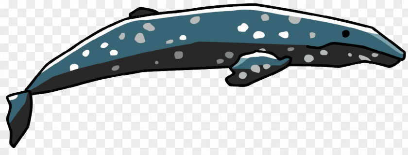 Dolphin Gray Whale Porpoise Clip Art PNG