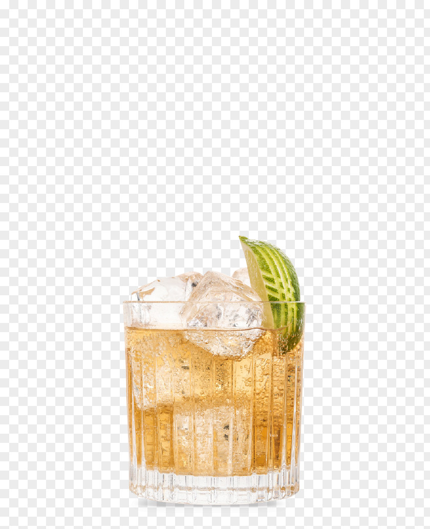 Gin And Tonic Mint Julep Cocktail Water PNG