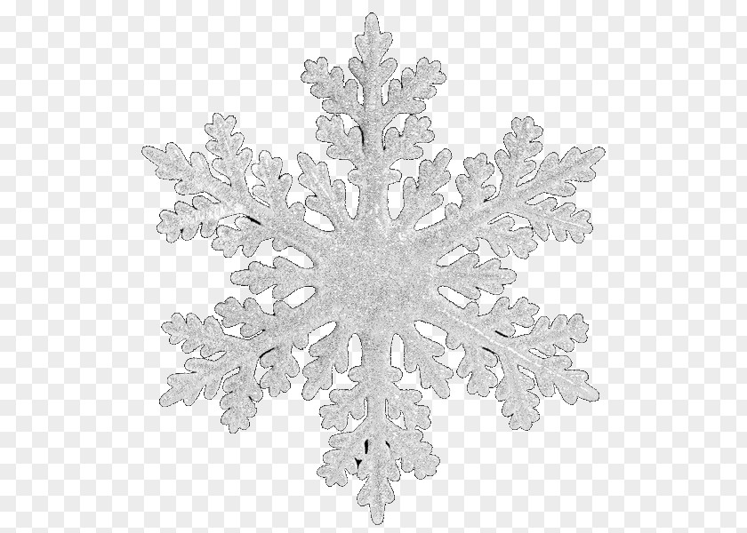 Snowflake Christmas Tree PNG