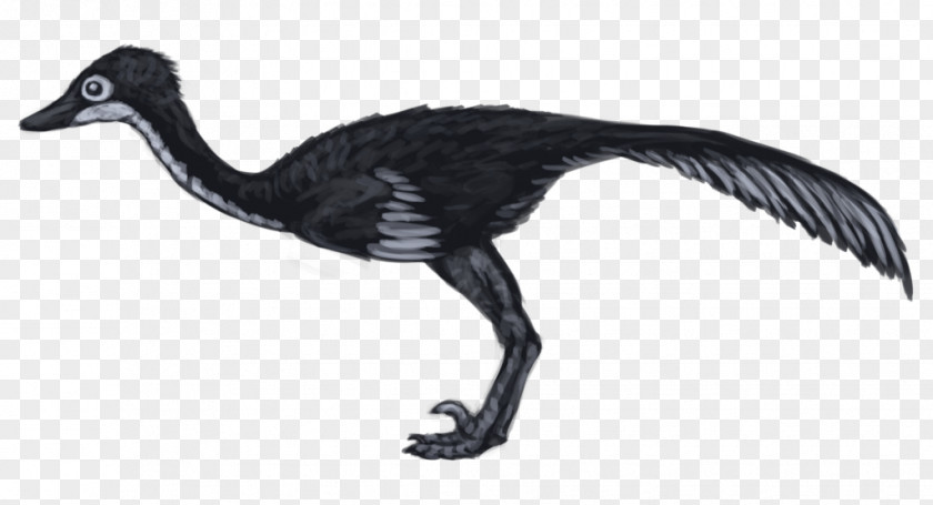 Troodon Dinosaur Saurornithoides Velociraptor Bird Goose PNG