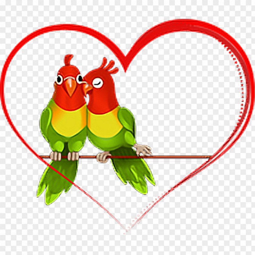 Double Happiness Clip Art Transparency Image Lovebird PNG
