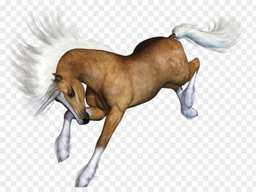 Hand-painted Horses Mustang Australian Stock Horse Pony Mane PNG