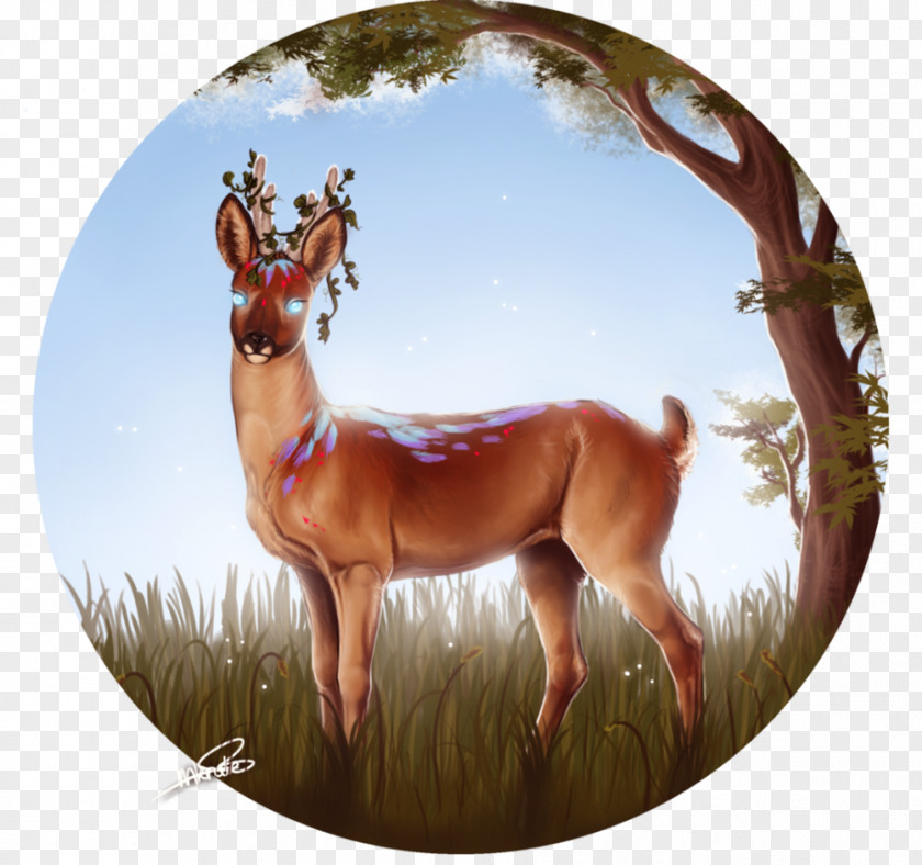 Reindeer Horse Antler Mammal Wildlife PNG