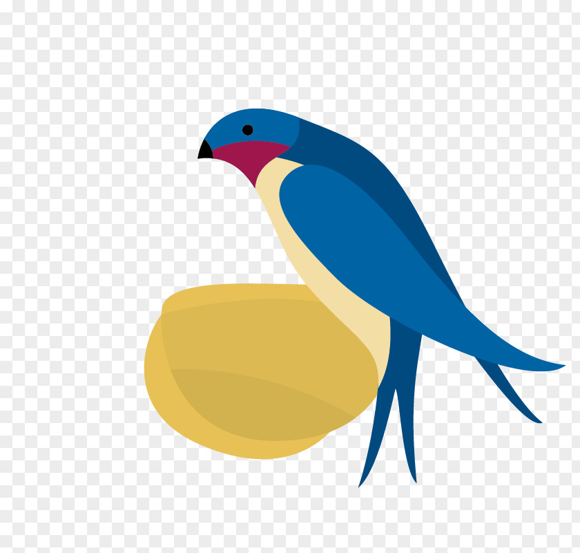 Andorinha Cartoon Swallow Vector Graphics Image Drawing PNG