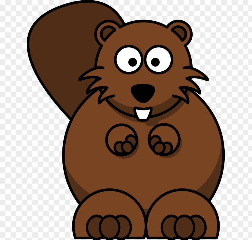 Beaver Stare Cartoon Clip Art PNG