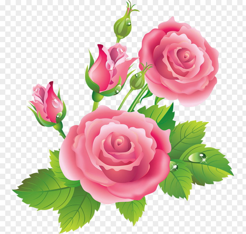 Flower Garden Roses Centifolia Blue Rose Clip Art PNG