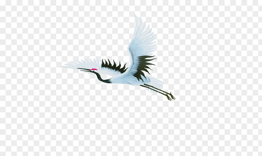 Flying Red-crowned Crane PNG
