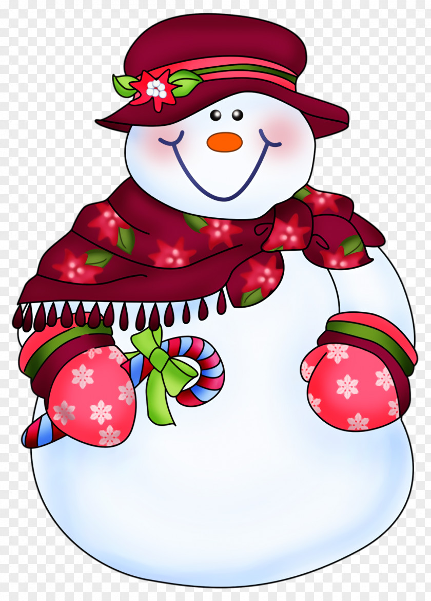 Plant Snowman Christmas PNG