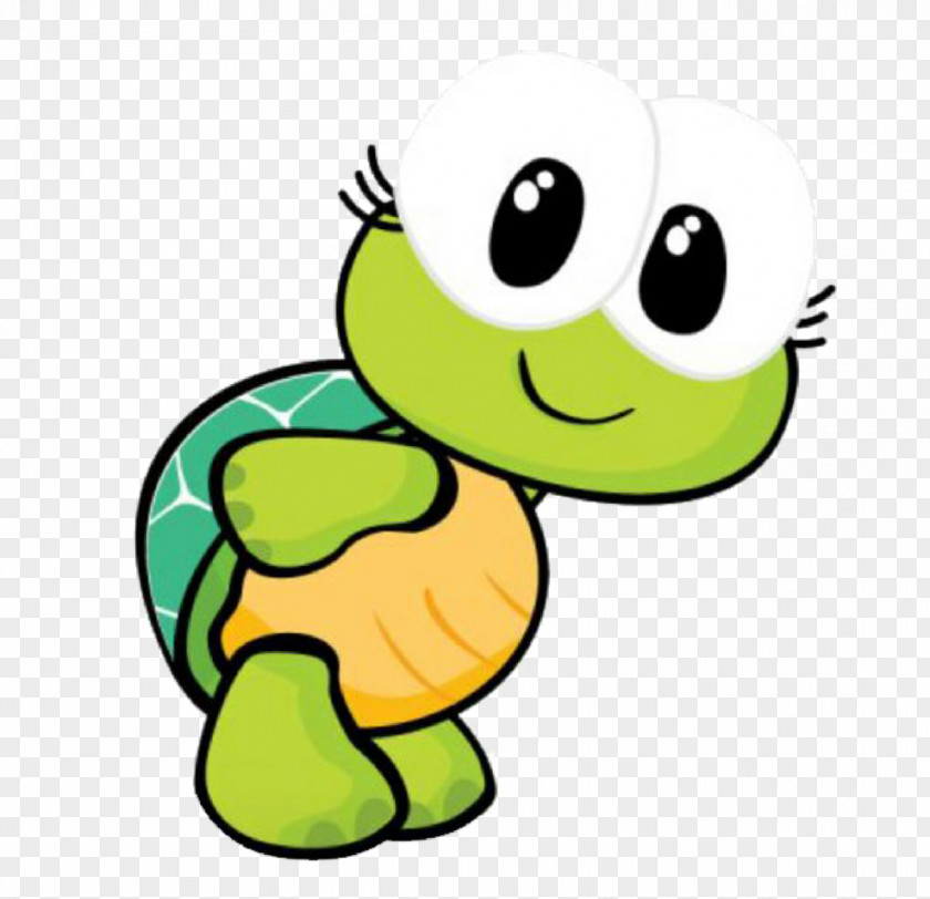 Turtle Drawing Cute Illustration Image Cartoon PNG