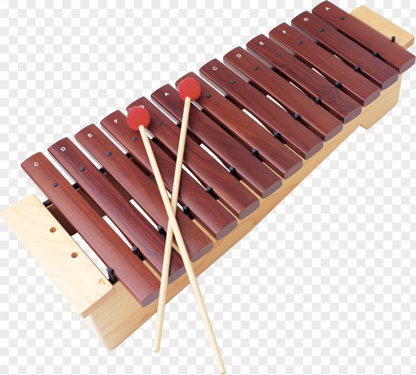 Xylophone Musical Instruments Percussion Mallet PNG