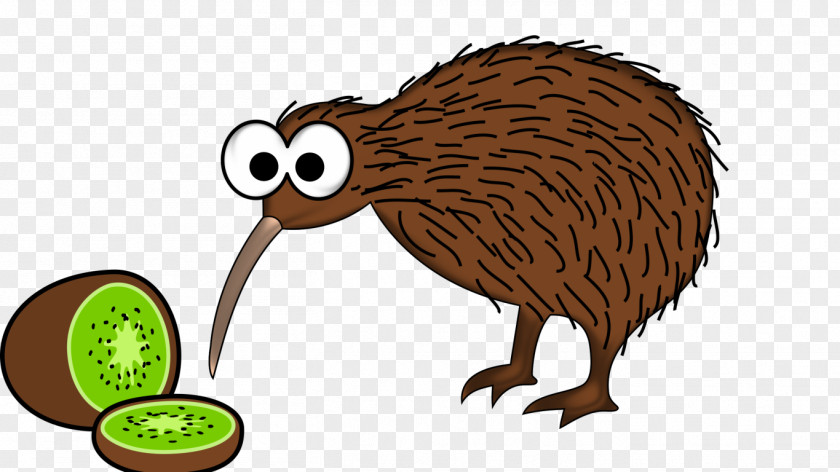 Bird Clip Art Kiwifruit New Zealand Cartoon PNG