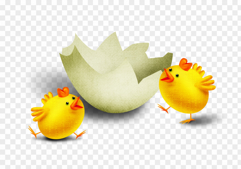 Chick Eggshell Chicken Clip Art PNG