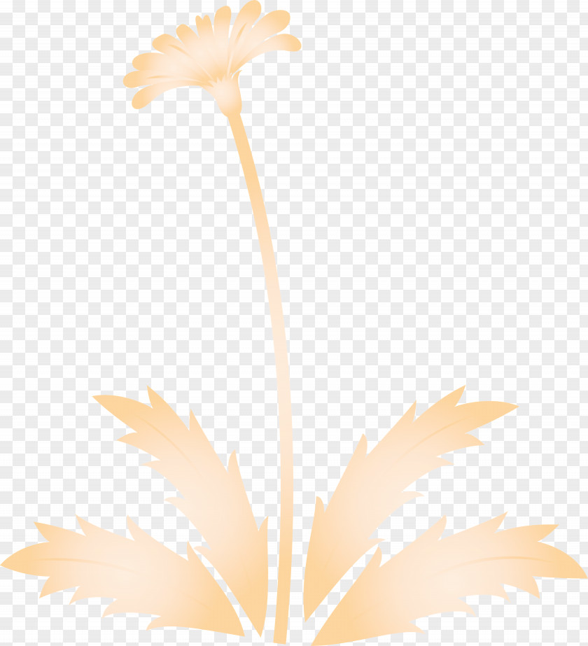 Dandelion Flower Easter Day Spring PNG