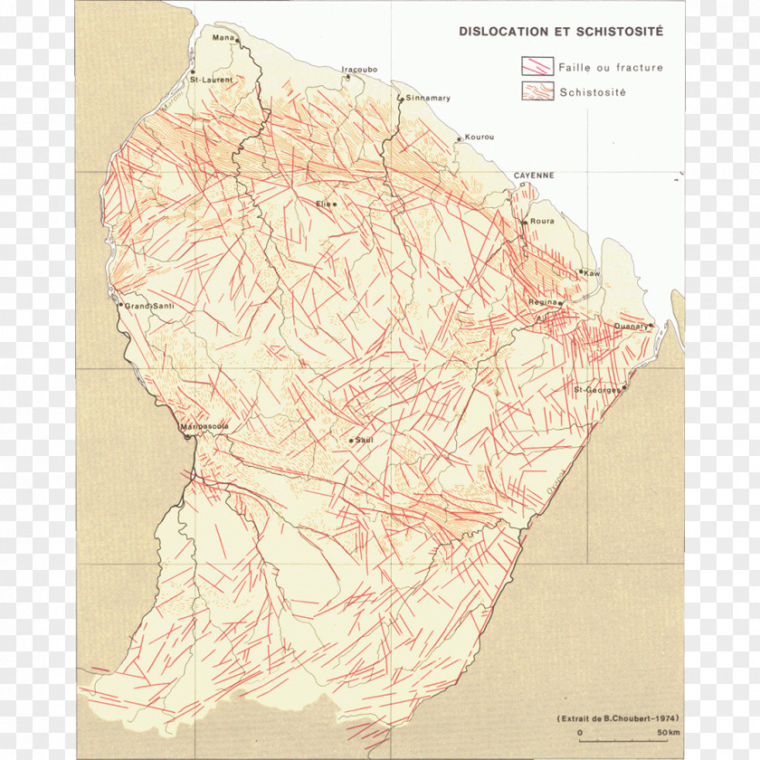 Design Map Tuberculosis PNG