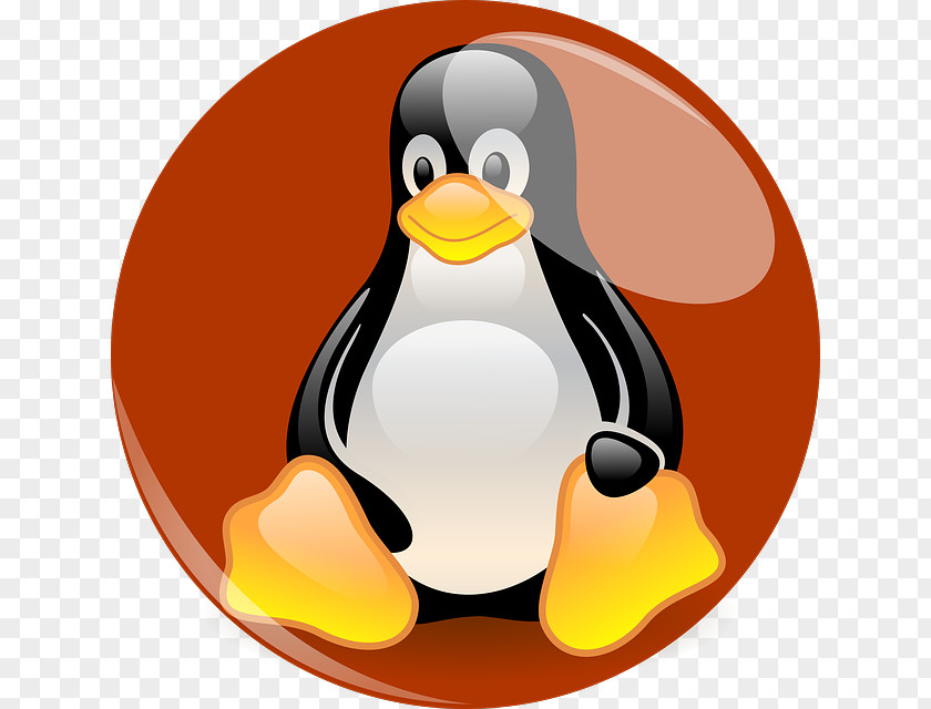 Green Fire Linux Distribution Penguin Computer Software Tux PNG