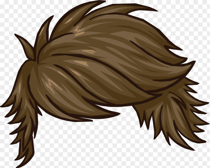 Hair Wig Image Penguin PNG