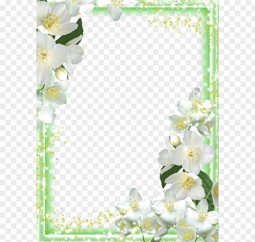 Lily Frame Picture Frames Orchids PNG