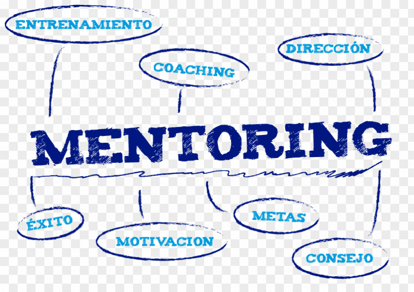Mentorship Digital Marketing Organization Empresa PNG