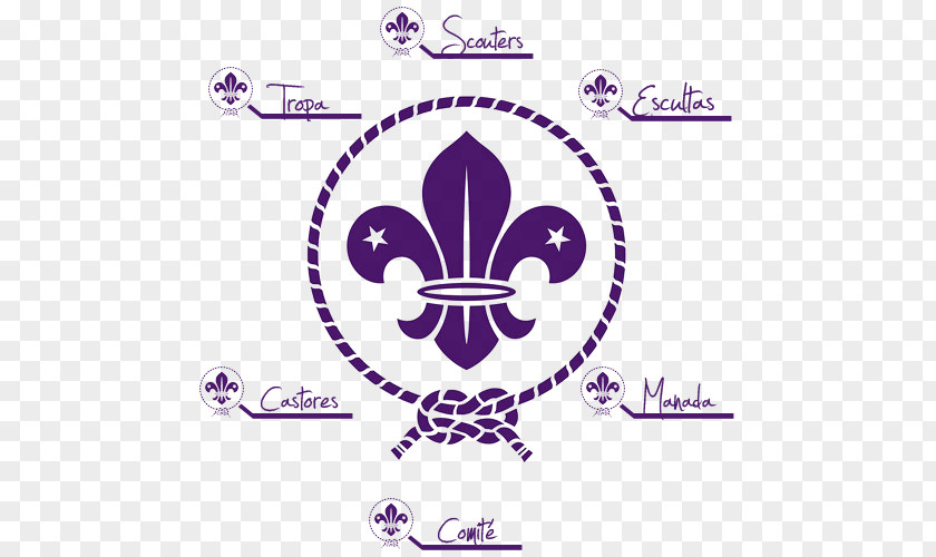 Scout Logo World Organization Of The Movement Emblem Scouting For Boys Association PNG