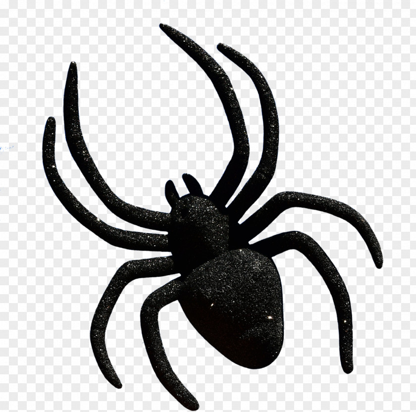 Spider Widow Spiders Halloween Clip Art Image PNG