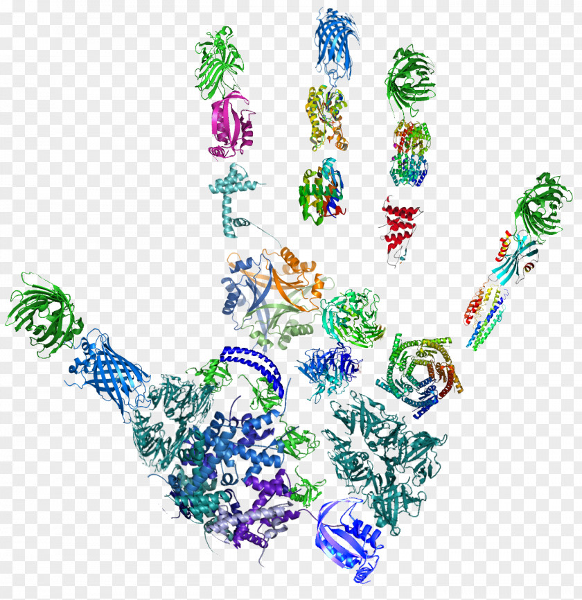 Teaching Tandem Mass Spectrometry Proteomics Peptide Fingerprinting PNG