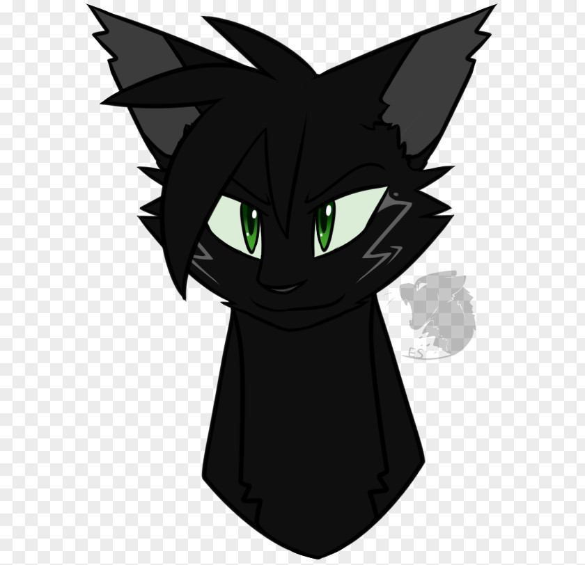Cat Black Whiskers Tail Lightning PNG