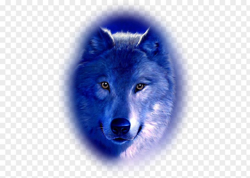 Dog Arctic Wolf Baby Black PNG