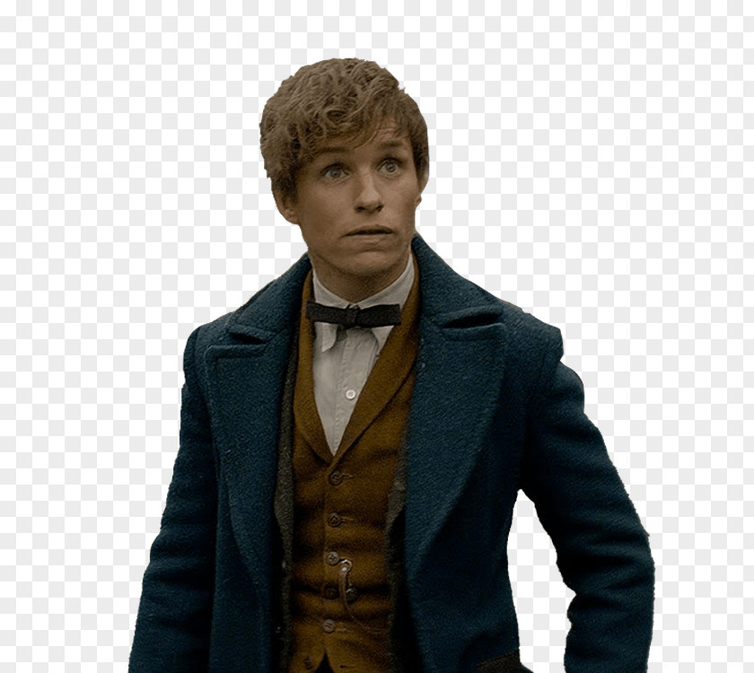 Harry Potter Fantastic Beasts And Where To Find Them Film Series Newt Scamander Eddie Redmayne Draco Malfoy PNG