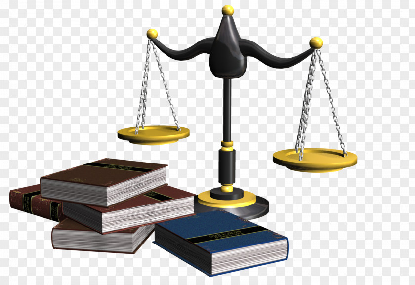 Lawyer Precept Social Norm Statute Juridical Person Law PNG