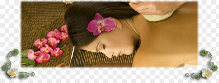 Thai Traditional Sunshine Massage & Spa Masseur PNG