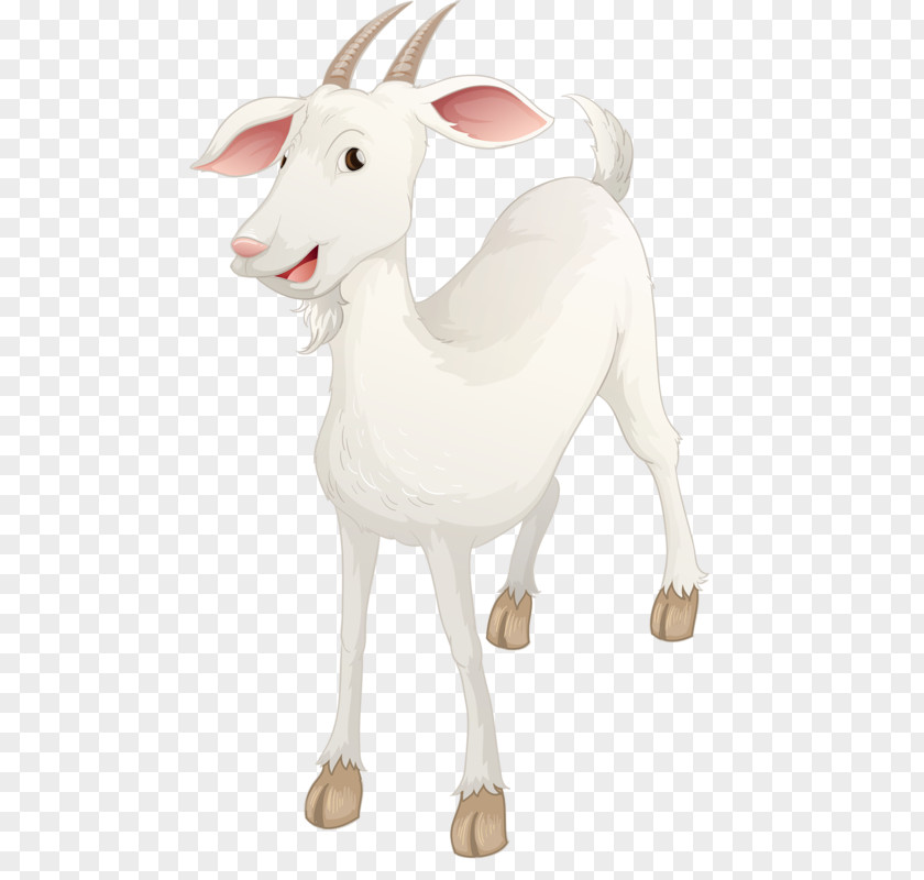 White Goat Sheep Illustration PNG