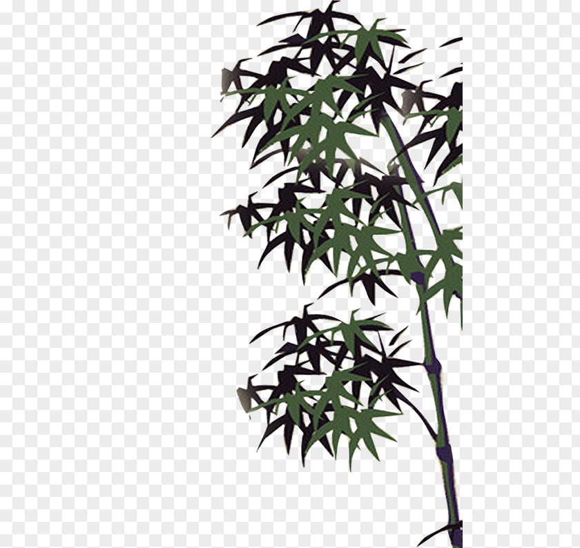 Bamboo Leaves Ink Bamboe PNG