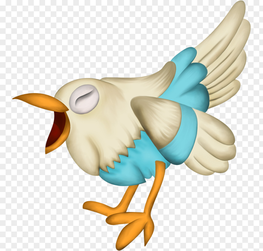 Bird Clip Art PNG